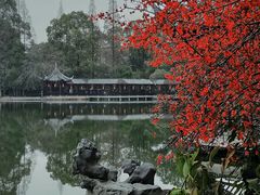 -棠湖公园