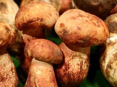 -一坐一忘云南菜(卓悦中心)