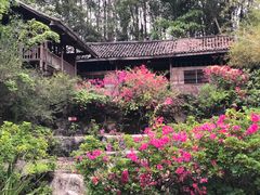 -深圳国际园林花卉博览园