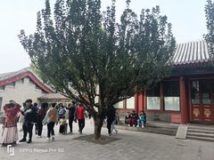 -皇家御河游(紫御湾码头)