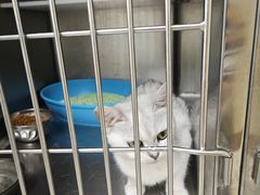 -宠颐生宠物医院·骨外科·犬猫全科诊疗中心(池州店)