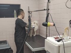 -FAELING PETS美天灵宠物(富力广场店)
