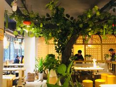 -香坝坝鲜鱼火锅(春熙路店)