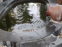 -扬州瘦西湖温泉