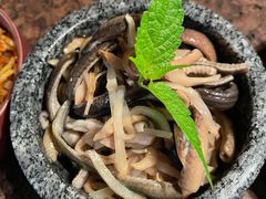 -毛辣果·酸(OHA复兴西路店)