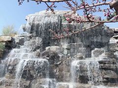 -北京西山国家森林公园