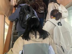 -武汉关码头(轮渡站)