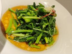 -圆苑(静安寺店)