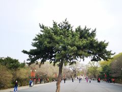 -北陵公园