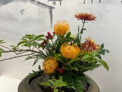 -杭州植物园