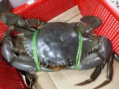 -龙海鲜螃蟹王(宏茂桥店)