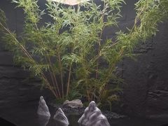 -宫七SPA·高端Massage(浦东大道店)