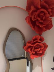 -WENDY·温迪皮肤管理