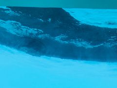 -亚龙湾海底世界