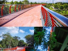 -王借岗森林公园