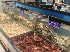 -遇上西雅图多融合海鲜自助餐厅(中房金谊广场店)