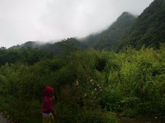 -秦岭风景区