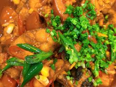 -椿记烧鹅(叠彩店)