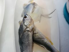 -鸽子侯·家宴·平价海鲜(绿地店)
