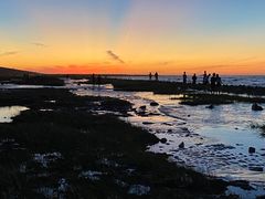 -南汇新城海滩