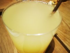 -柴务处·柴犬主题狗咖