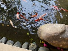 -三亚亚龙湾金棕榈度假酒店
