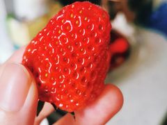 -菜园坝水果市场