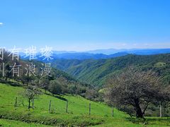 -关山草原