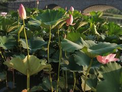 -江南大学(蠡湖校区)
