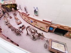 -陕西自然博物馆