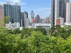 -香港大学