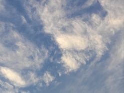 点击看大图 -京世沙龙