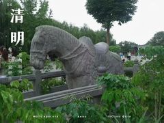 -洛阳白马寺