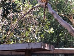 -费瑟代尔野生动物园