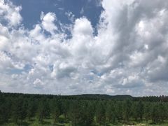 -塞罕坝国家级自然保护区