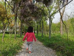 -上海长兴岛郊野公园