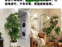 -京东家装(昆明总店)