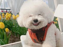 -爱侣宠医·鹦鹉专科·小型哺乳类·异宠专科(灵石路店)