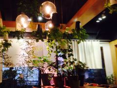 店内布置-柴务处·柴犬主题狗咖