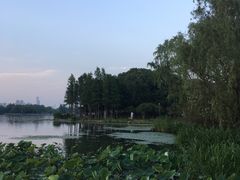 -宝界山林公园
