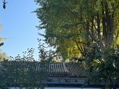 -荣国府