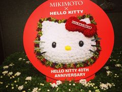 iphone_upload_pic-御木本(银座2丁目本店)