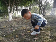 -桐乡植物园