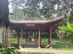 -莫干山风景区