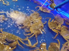 -SEA西雅图海鲜自助餐厅(正义店)