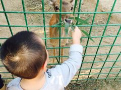 -西安秦岭野生动物园
