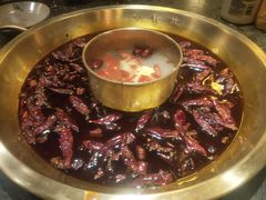 -小龙坎火锅(黄河店)