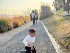 -羊山湖公园