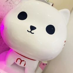 -咪咪专业脱毛连锁机构