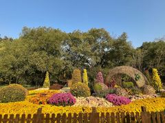 -上海共青森林公园